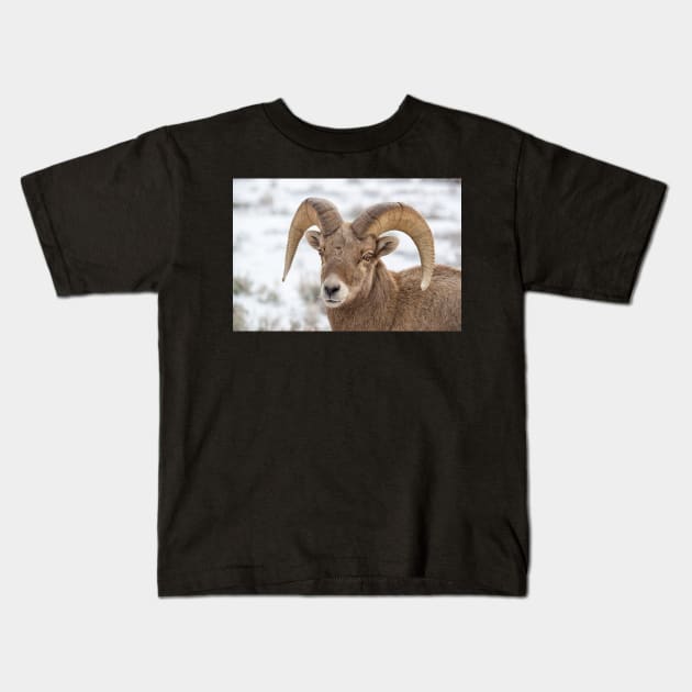 Big Horn Sheep Kids T-Shirt by StacyWhite